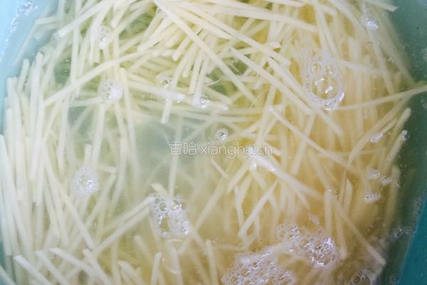 清炒土豆丝的做法图解4