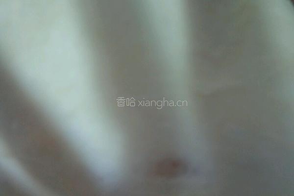 南瓜小餐包（汤种法）的做法图解2