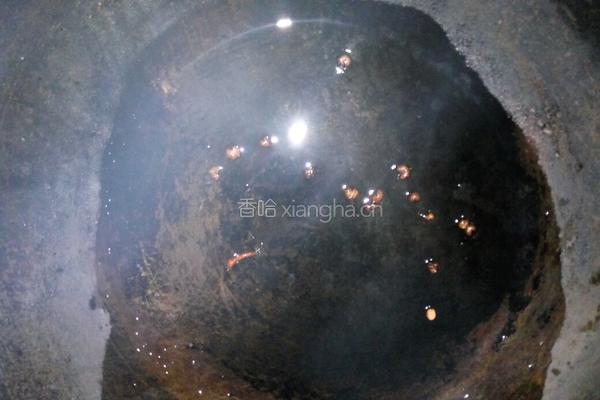 葱爆木耳的做法图解3