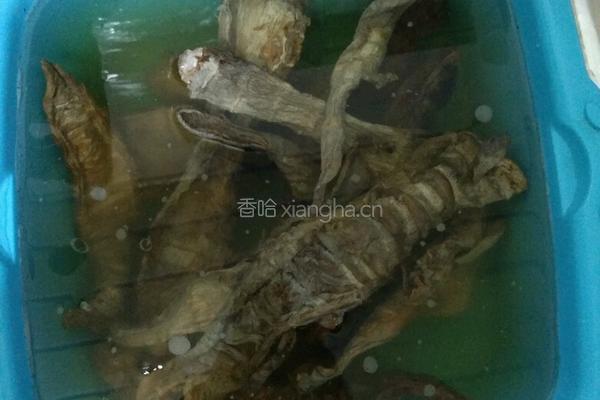 乌笋炒肉的做法图解1