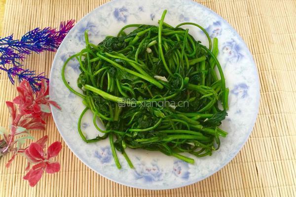 蒜泥红薯苗的做法图解5
