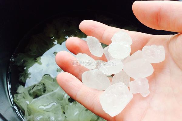 银耳水果玫瑰羹的做法图解4