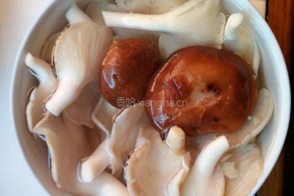 双菇西红柿烩豆腐的做法图解2