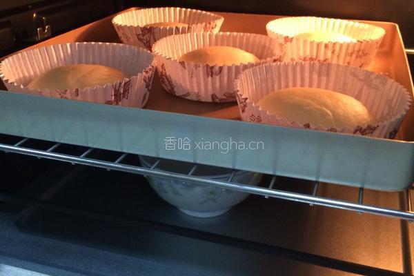 汉堡胚（中种法）的做法图解10