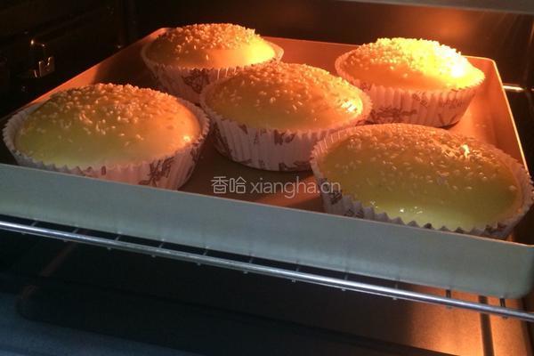汉堡胚（中种法）的做法图解13