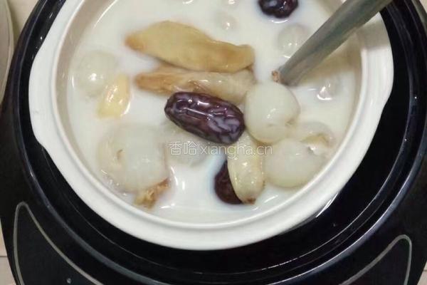 桂圆牛奶炖鱼胶的做法图解3
