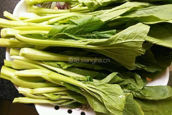 白灼菜心的做法图解1