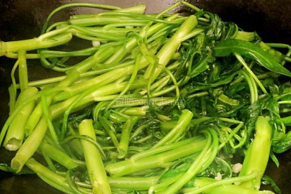 蒜蓉空心菜的做法图解4