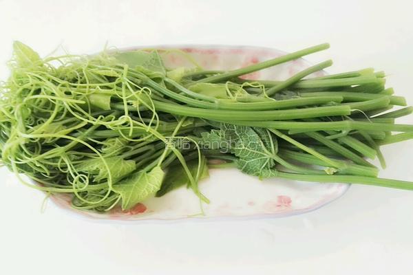 红辣椒拌龙须菜的做法图解5