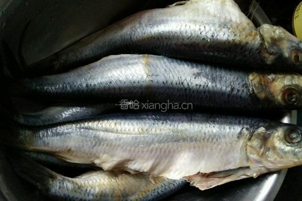 煎烧青鱼的做法图解1