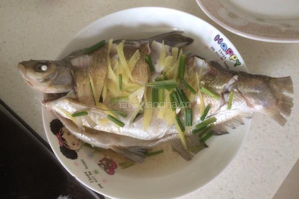 清蒸鳊鱼的做法图解10