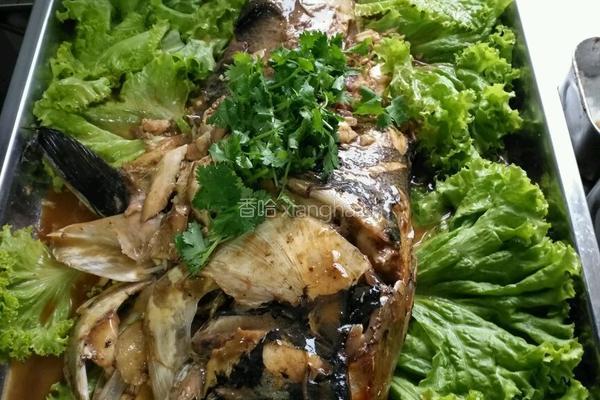 传食炖传奇花鲢鱼的做法图解4