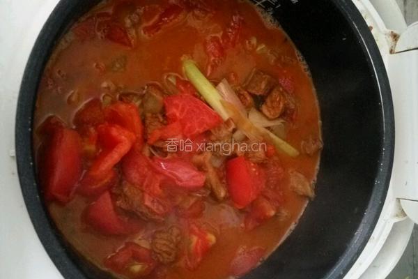 西红柿炖牛肉（辛墨墨版）的做法图解7