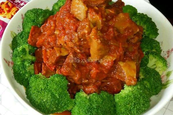 西红柿炖牛肉（辛墨墨版）的做法图解9