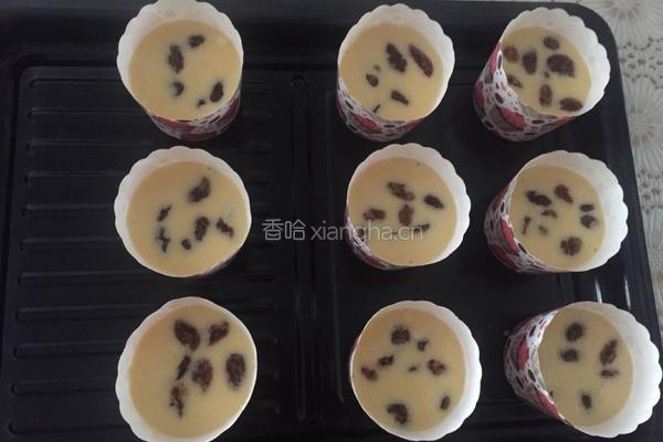 葡萄干马芬杯的做法图解9