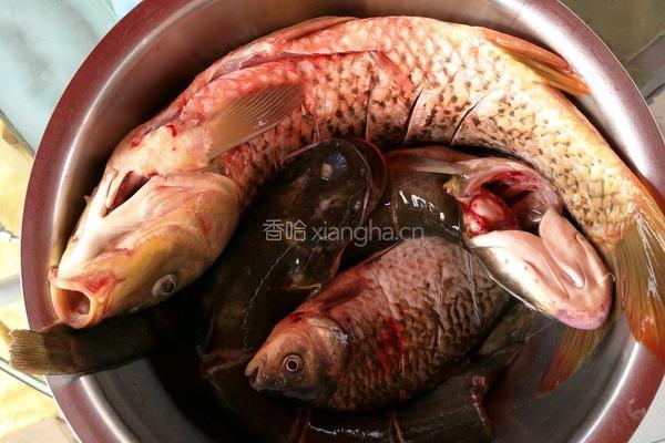 铁锅炖野生鱼的做法图解1