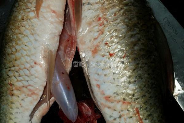 酿鲮魚的做法图解1