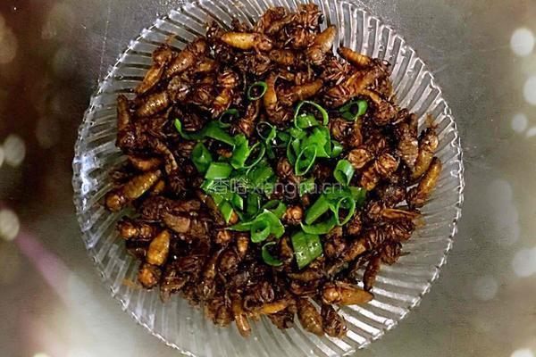 干煲雄蚕蛾的做法图解8