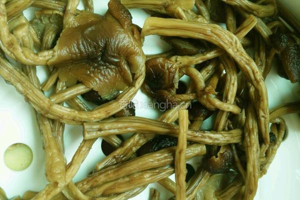 茶树菇冬瓜排骨汤的做法图解2