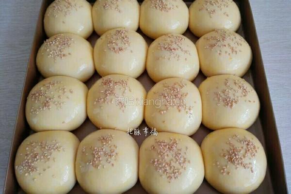 小餐包（一次发酵）的做法图解4