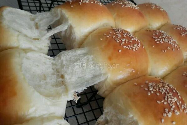 小餐包（一次发酵）的做法图解7