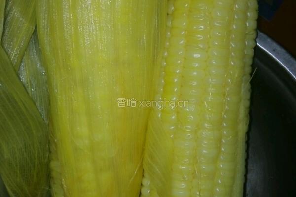 黄金玉米烙的做法图解1