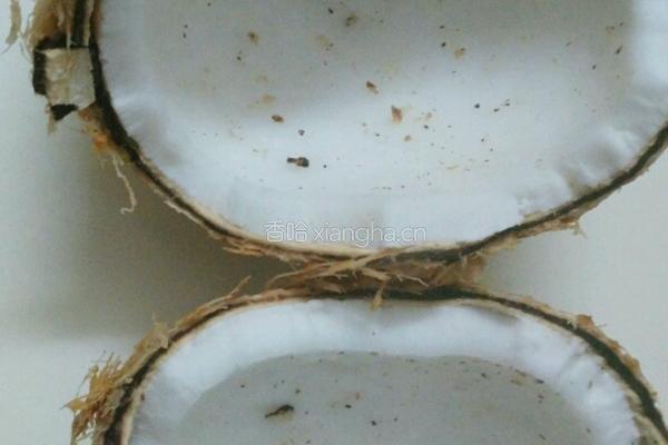 椰子炖小母鸡的做法图解3