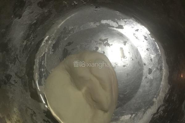 胡萝卜素水饺的做法图解2