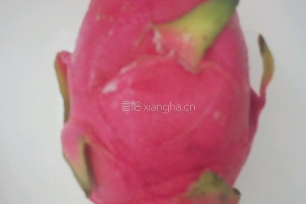 火龙果布丁的做法图解1