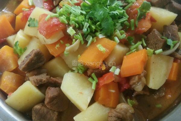 牛腩土豆的做法图解7