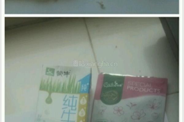 酸奶慕斯蛋糕的做法图解1