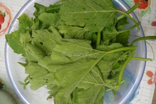 白灼南瓜苗的做法图解3
