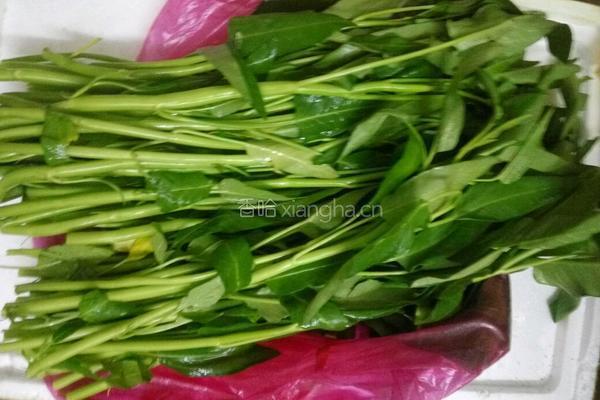 白灼空心菜的做法图解1