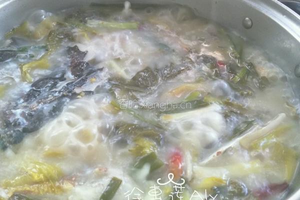 酸菜鱼的做法图解11
