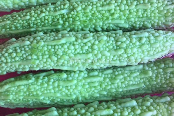 酿苦瓜的做法图解1