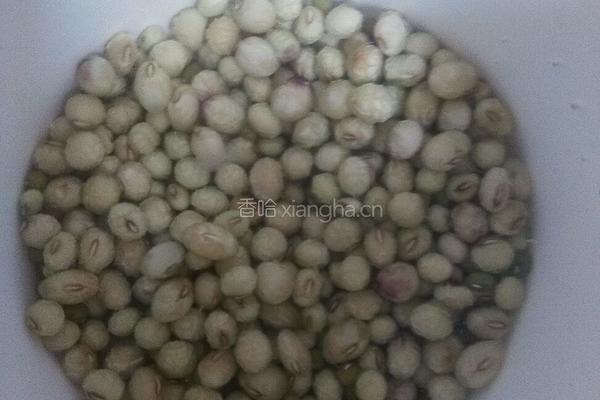 绿豆豆浆的做法图解1