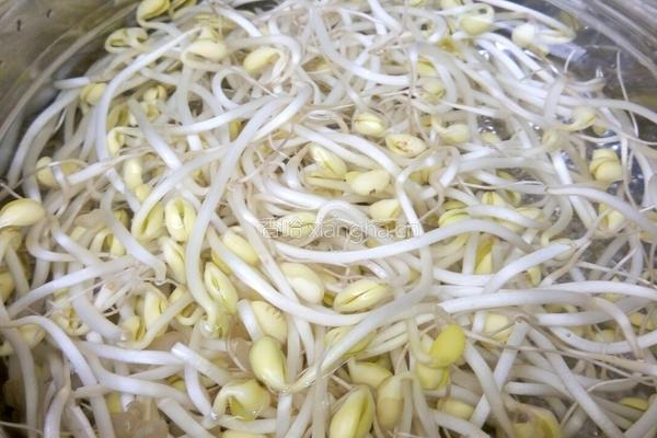 肉烧黄豆芽的做法图解1
