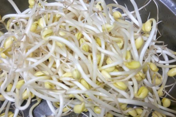 肉烧黄豆芽的做法图解6
