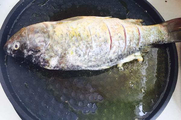 红烧黄河大鲤鱼的做法图解4