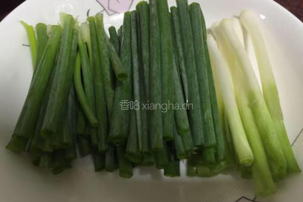 土豆番茄鲫鱼汤的做法图解4