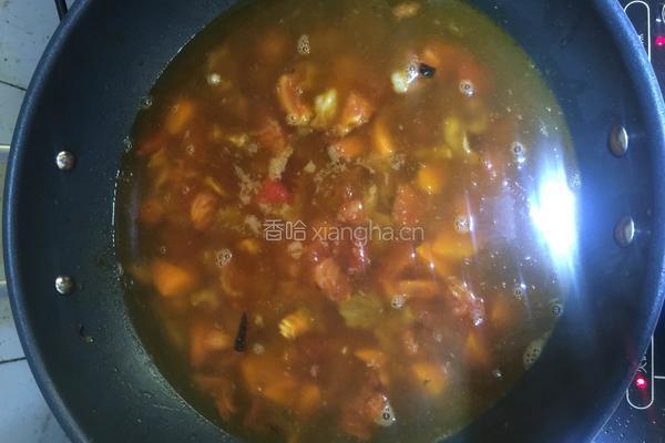 西红柿胡萝卜炖牛腩的做法图解6