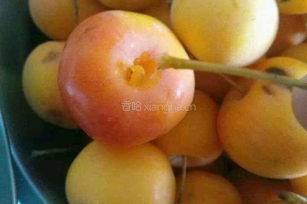 自制海棠果罐头的做法图解2