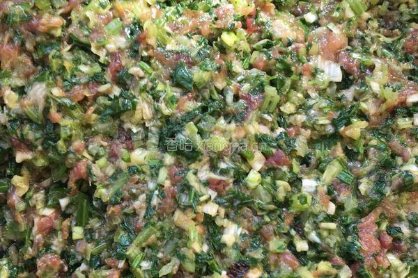 芹菜馅包蛋煎饺的做法图解4