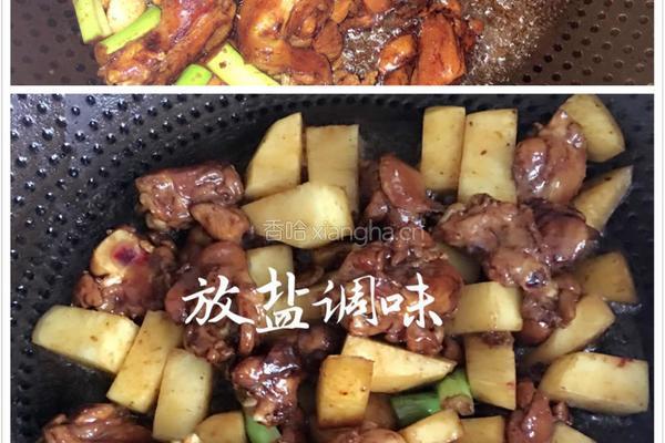 土豆鸡肉焖饭的做法图解4