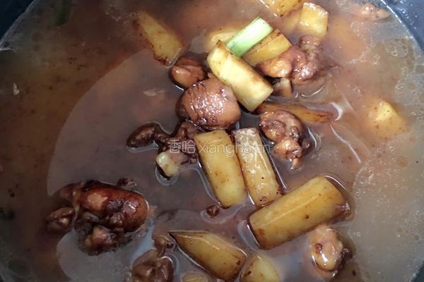 土豆鸡肉焖饭的做法图解5
