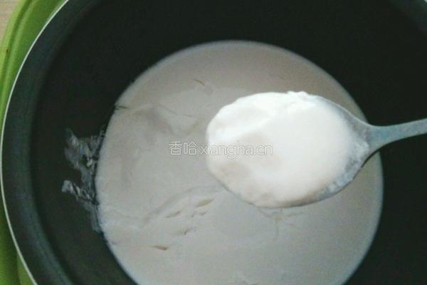 自制火龙果酸奶的做法图解5