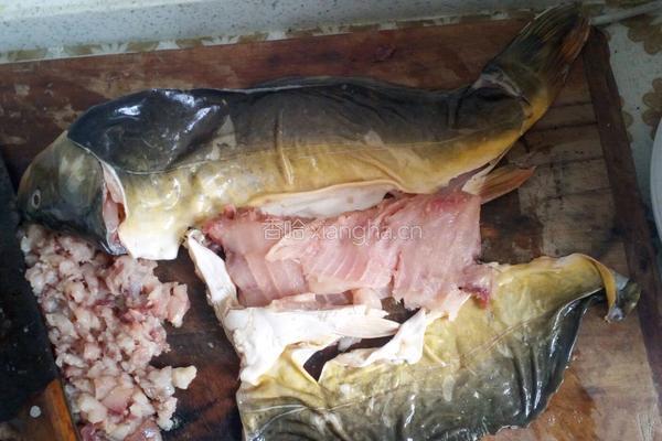 鱼肉丸子汤的做法图解3