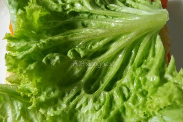 吞拿魚芝士番茄蛋治的做法图解7