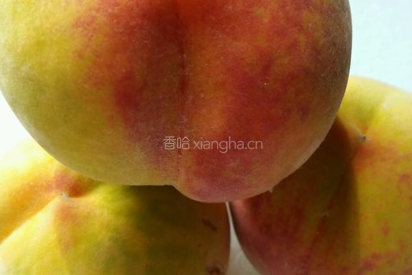 教你自制黄桃罐头的做法图解1