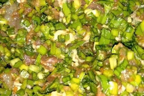 鲜虾猪肉韭菜饺子的做法图解2